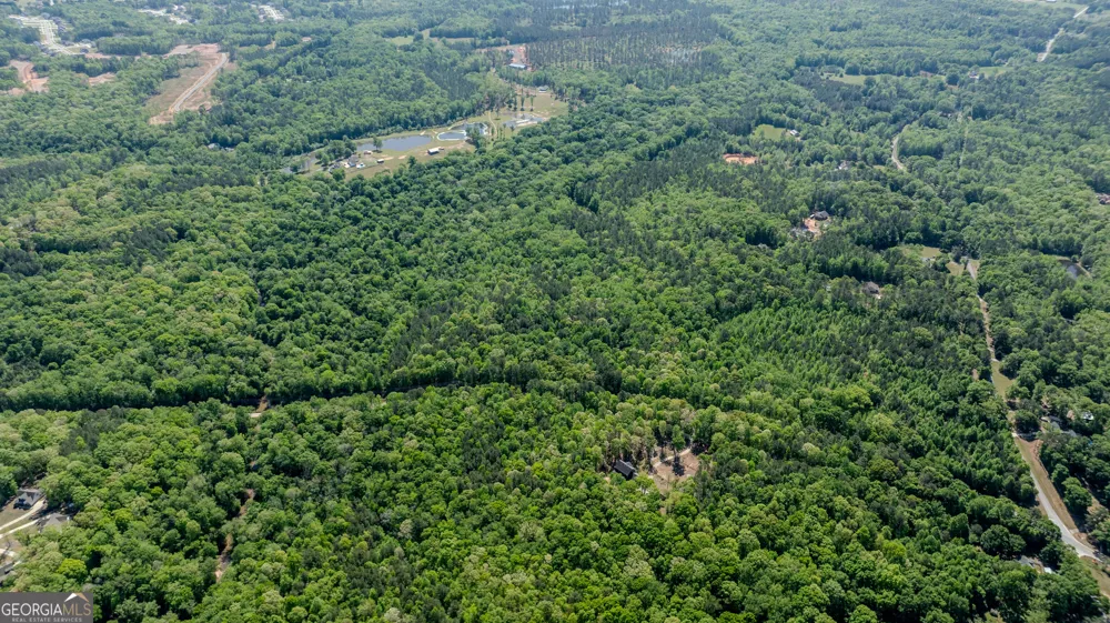 0 Highway 54 & Bear Creek RD Moreland, GA 30259