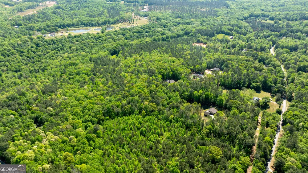 0 Highway 54 & Bear Creek RD Moreland, GA 30259