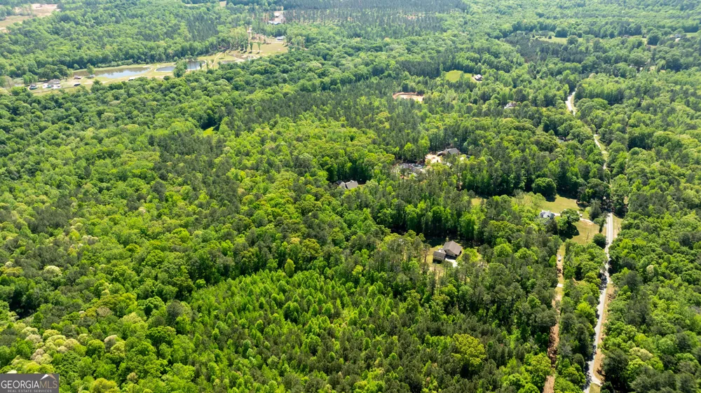 0 Highway 54 & Bear Creek RD Moreland, GA 30259