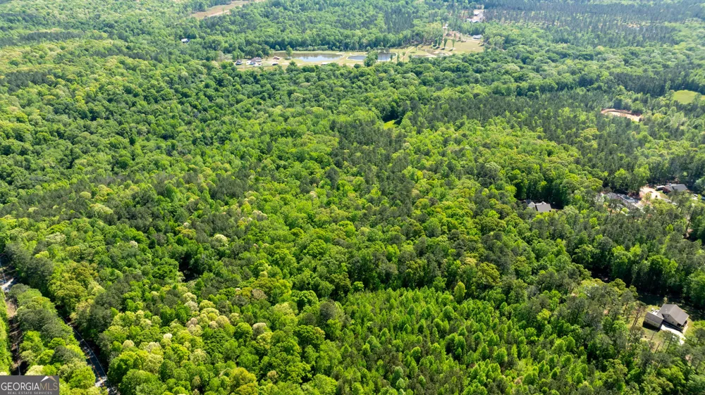 0 Highway 54 & Bear Creek RD Moreland, GA 30259
