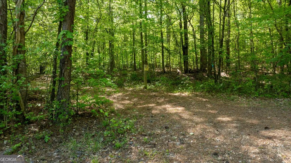 0 Highway 54 & Bear Creek RD Moreland, GA 30259