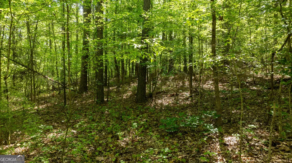 0 Highway 54 & Bear Creek RD Moreland, GA 30259