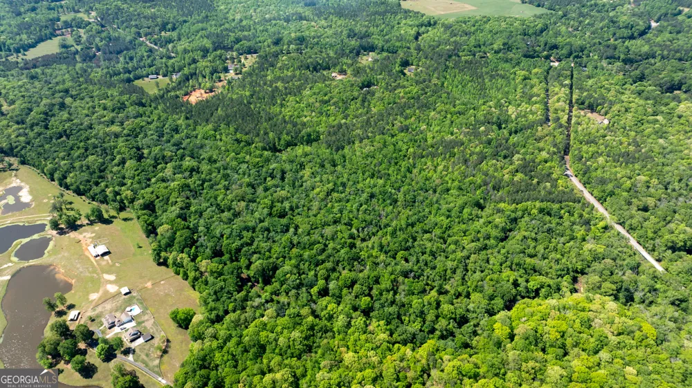 0 Highway 54 & Bear Creek RD Moreland, GA 30259