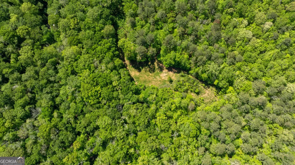 0 Highway 54 & Bear Creek RD Moreland, GA 30259