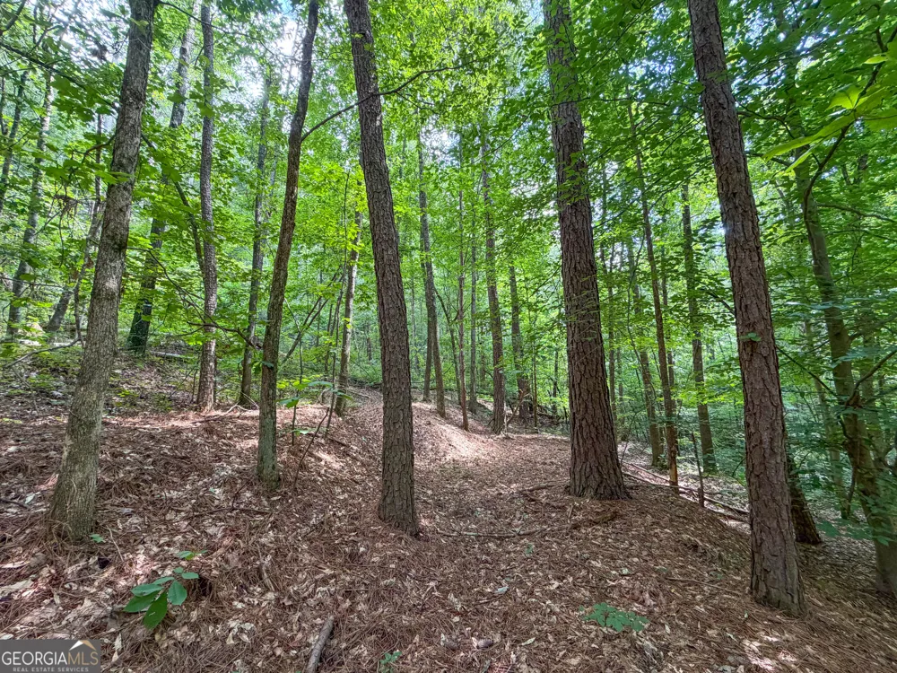 74 +/- Acres on Raccoon RD Summerville, GA 30747