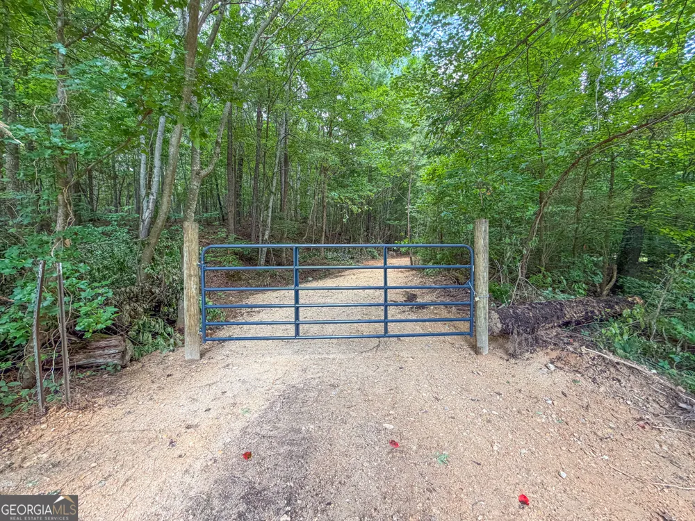 74 +/- Acres on Raccoon RD Summerville, GA 30747