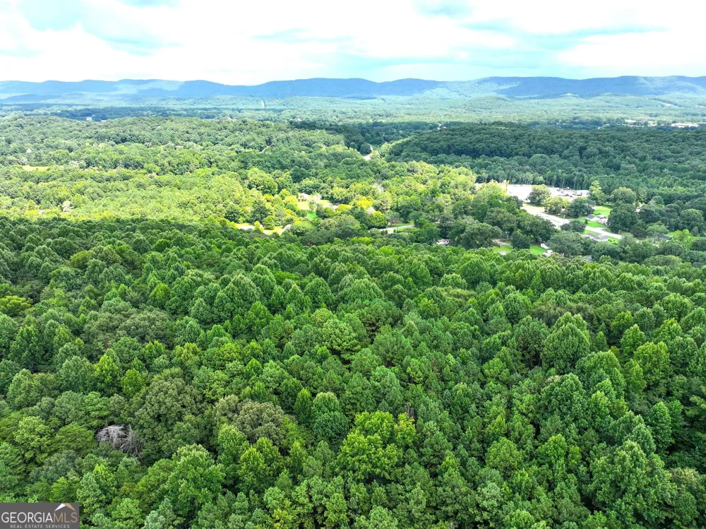 74 +/- Acres on Raccoon RD Summerville, GA 30747