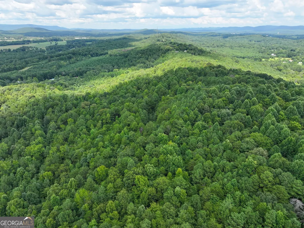 74 +/- Acres on Raccoon RD Summerville, GA 30747