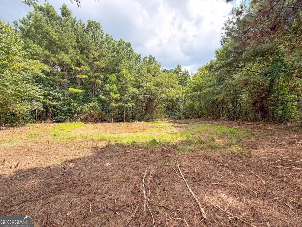 74 +/- Acres on Raccoon RD Summerville, GA 30747
