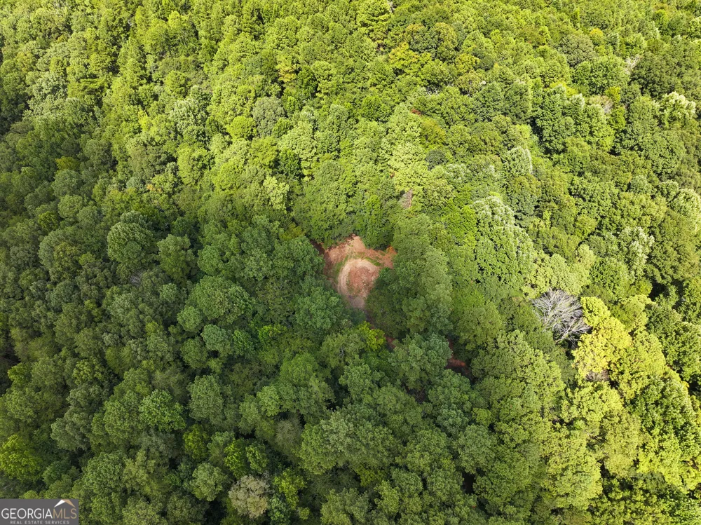 74 +/- Acres on Raccoon RD Summerville, GA 30747
