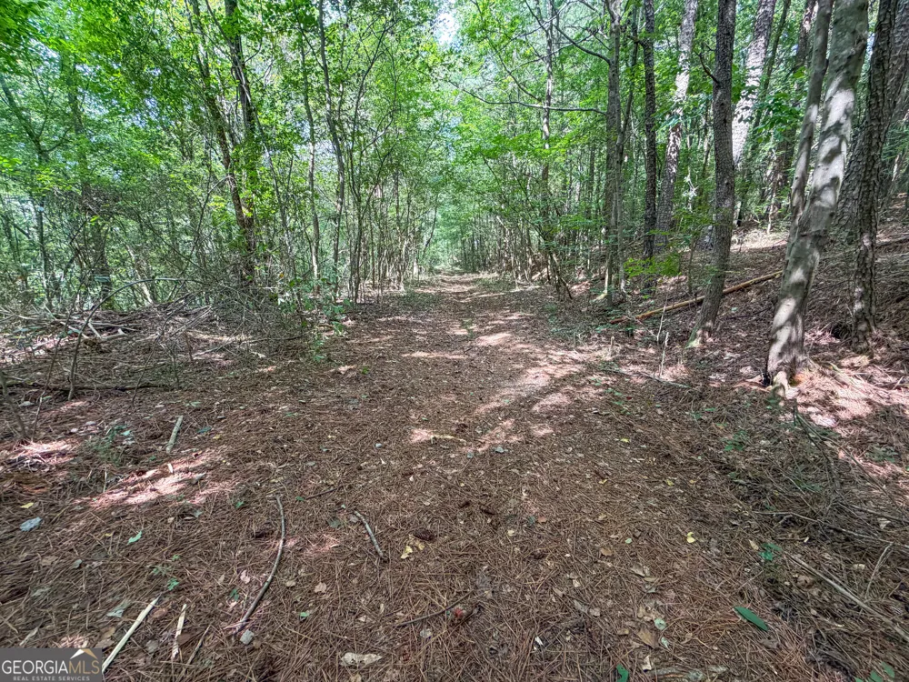74 +/- Acres on Raccoon RD Summerville, GA 30747
