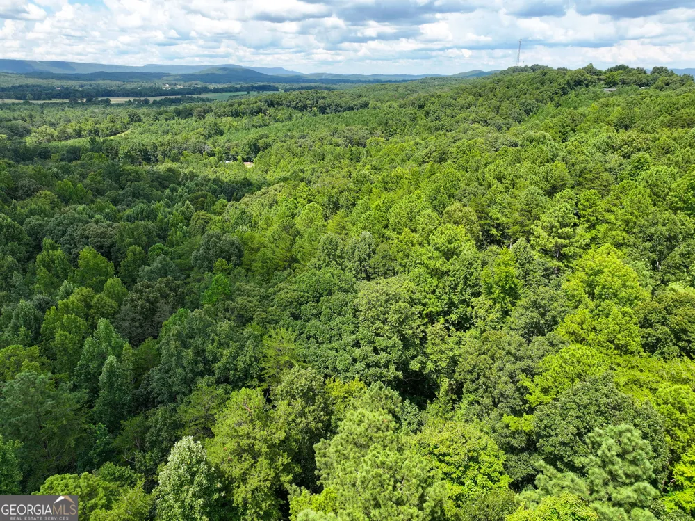74 +/- Acres on Raccoon RD Summerville, GA 30747