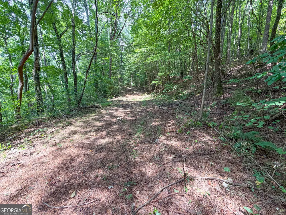 74 +/- Acres on Raccoon RD Summerville, GA 30747