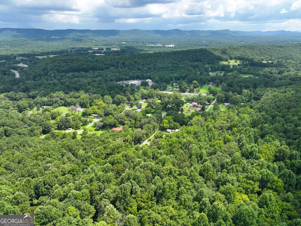 74 +/- Acres on Raccoon RD Summerville, GA 30747