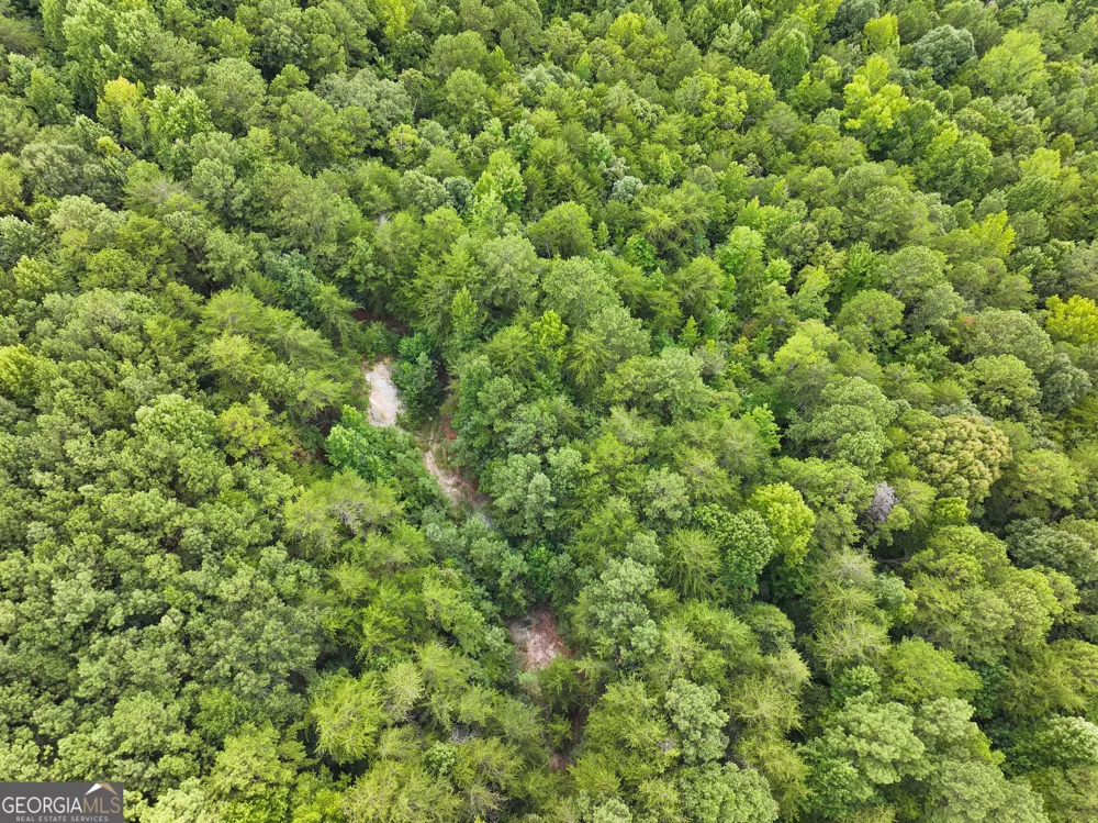 74 +/- Acres on Raccoon RD Summerville, GA 30747