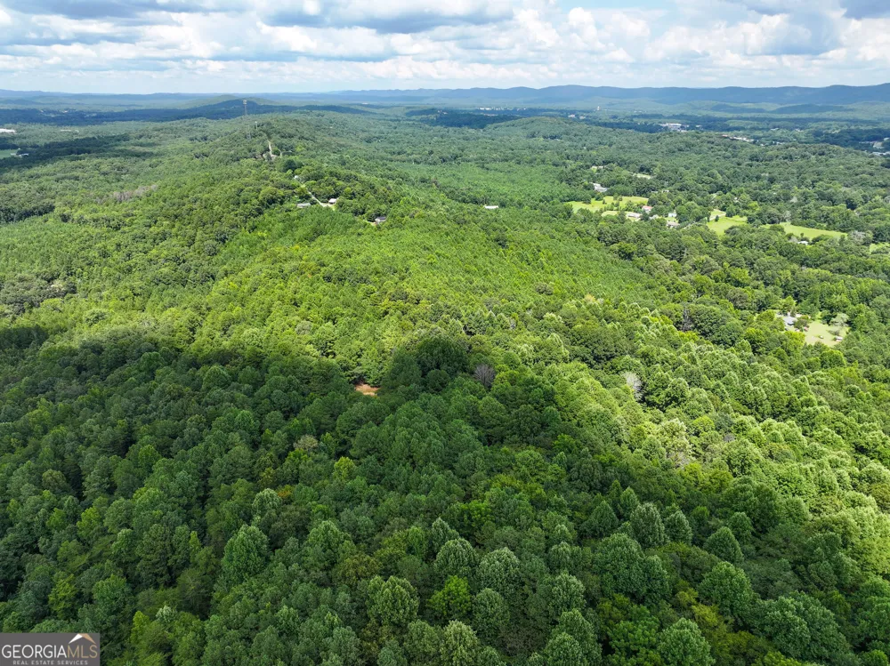 74 +/- Acres on Raccoon RD Summerville, GA 30747