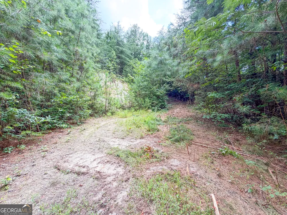 74 +/- Acres on Raccoon RD Summerville, GA 30747