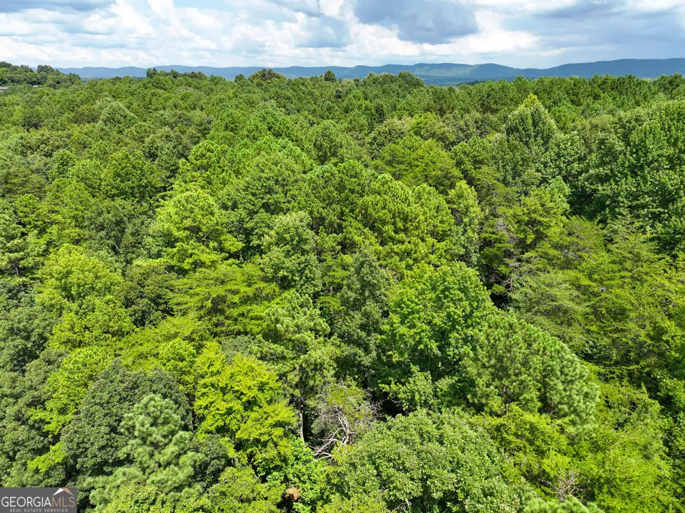 74 +/- Acres on Raccoon RD Summerville, GA 30747