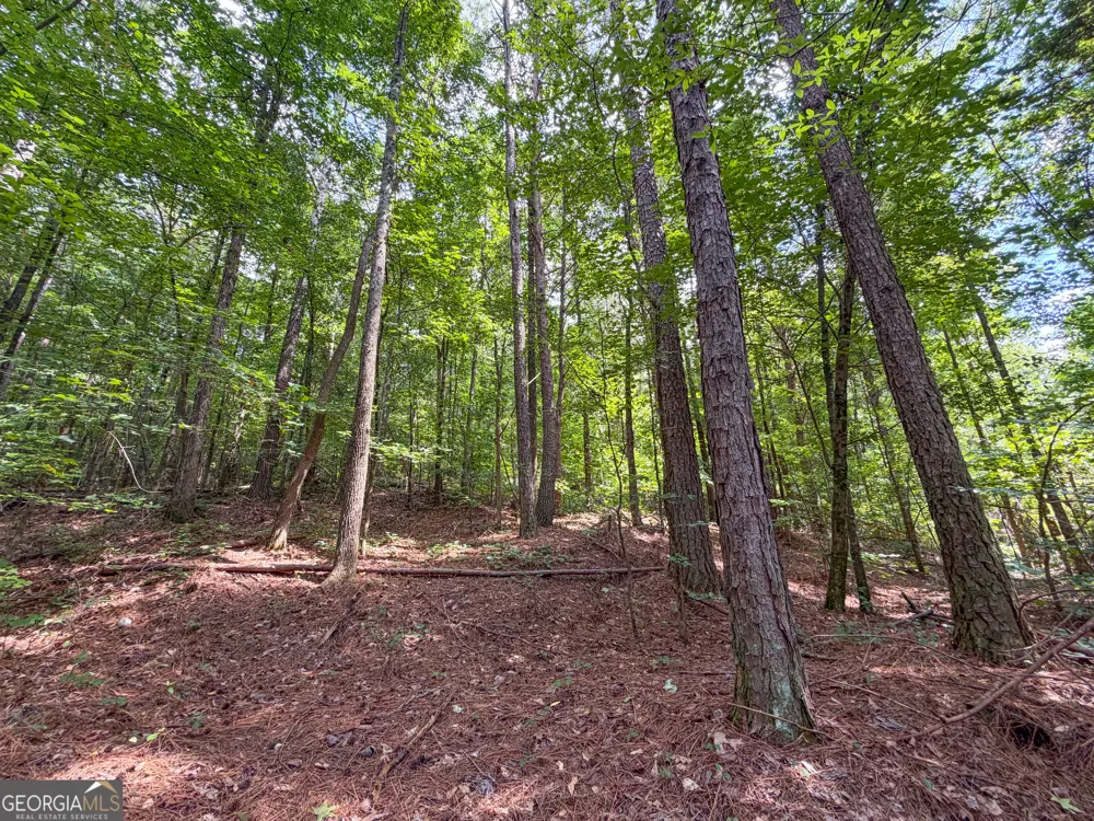 74 +/- Acres on Raccoon RD Summerville, GA 30747