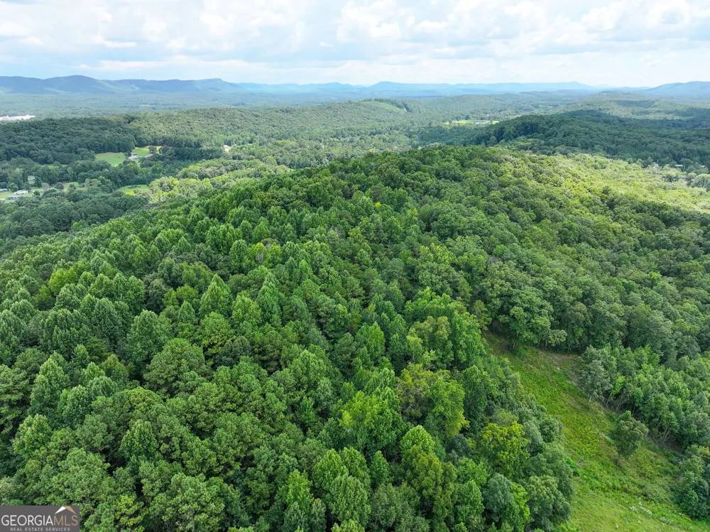 74 +/- Acres on Raccoon RD Summerville, GA 30747
