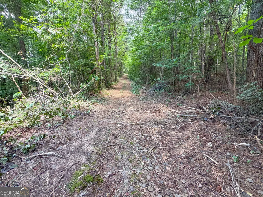 74 +/- Acres on Raccoon RD Summerville, GA 30747