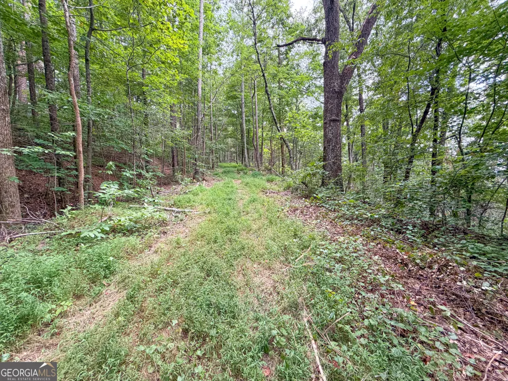 74 +/- Acres on Raccoon RD Summerville, GA 30747
