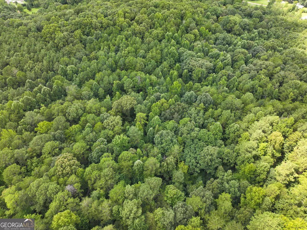74 +/- Acres on Raccoon RD Summerville, GA 30747