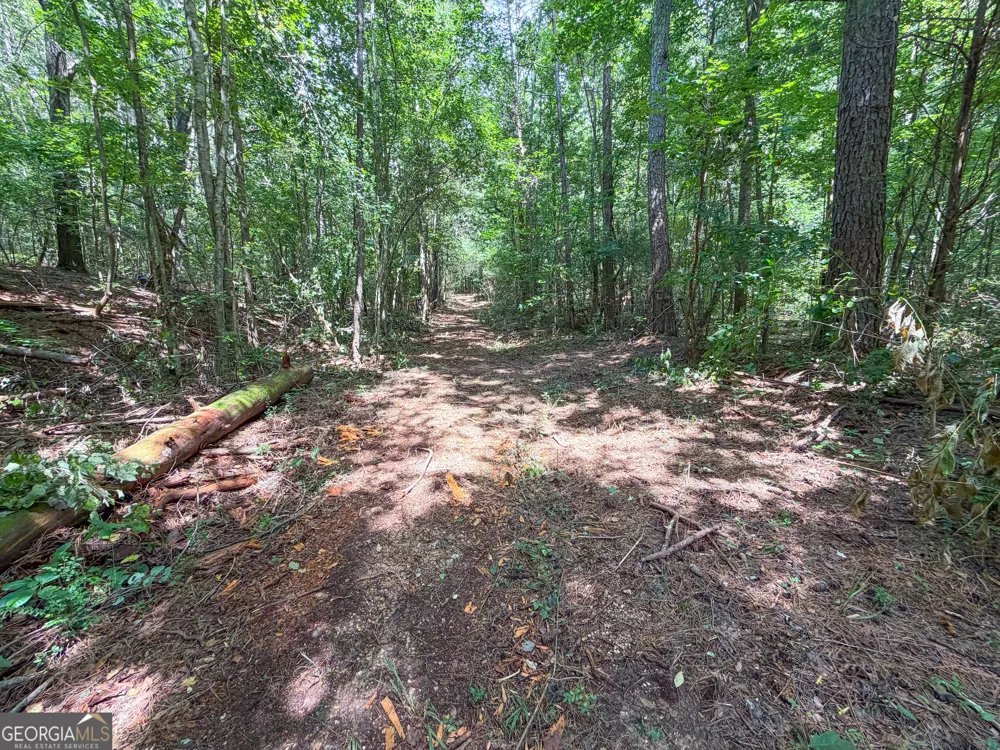 74 +/- Acres on Raccoon RD Summerville, GA 30747