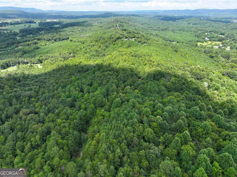 74 +/- Acres on Raccoon RD Summerville, GA 30747