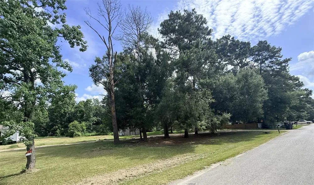 349 County Road 3797 Cleveland, TX 77328