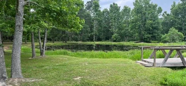 349 County Road 3797 Cleveland, TX 77328