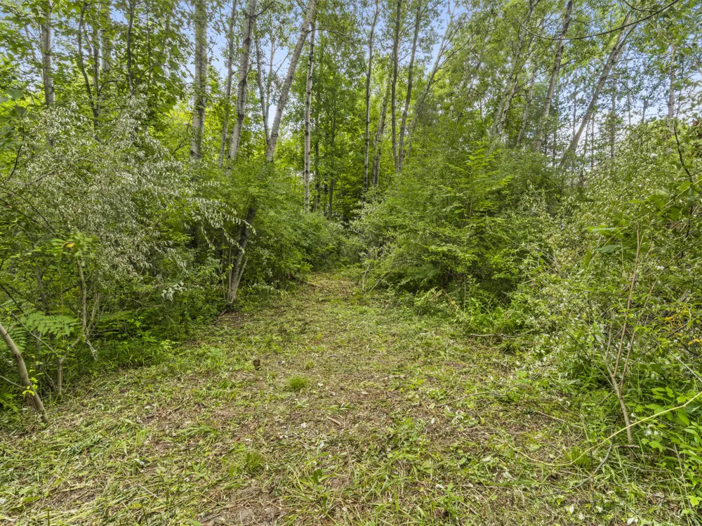 Red Barn Drive Thompsonville, MI 49683