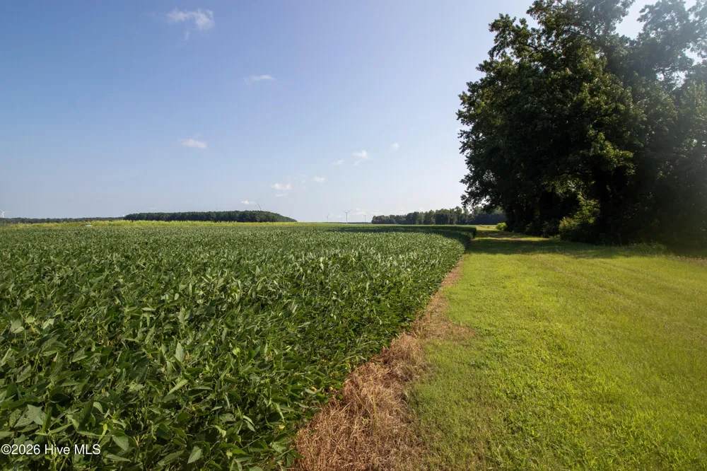 00 Swamp Road Hertford, NC 27944