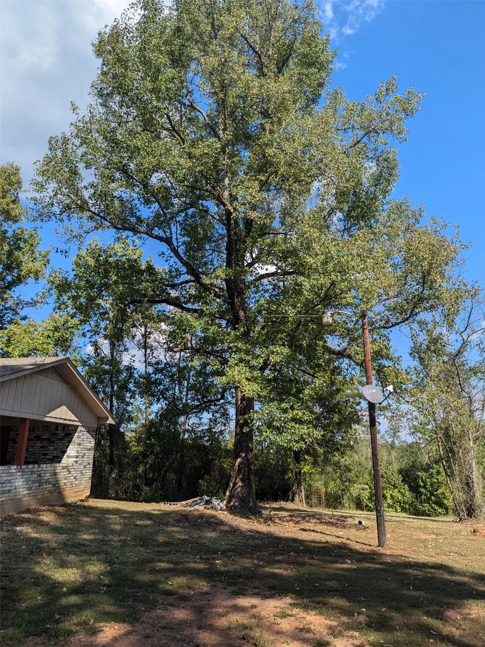 11728 Fm 1399 Marietta, TX 75566