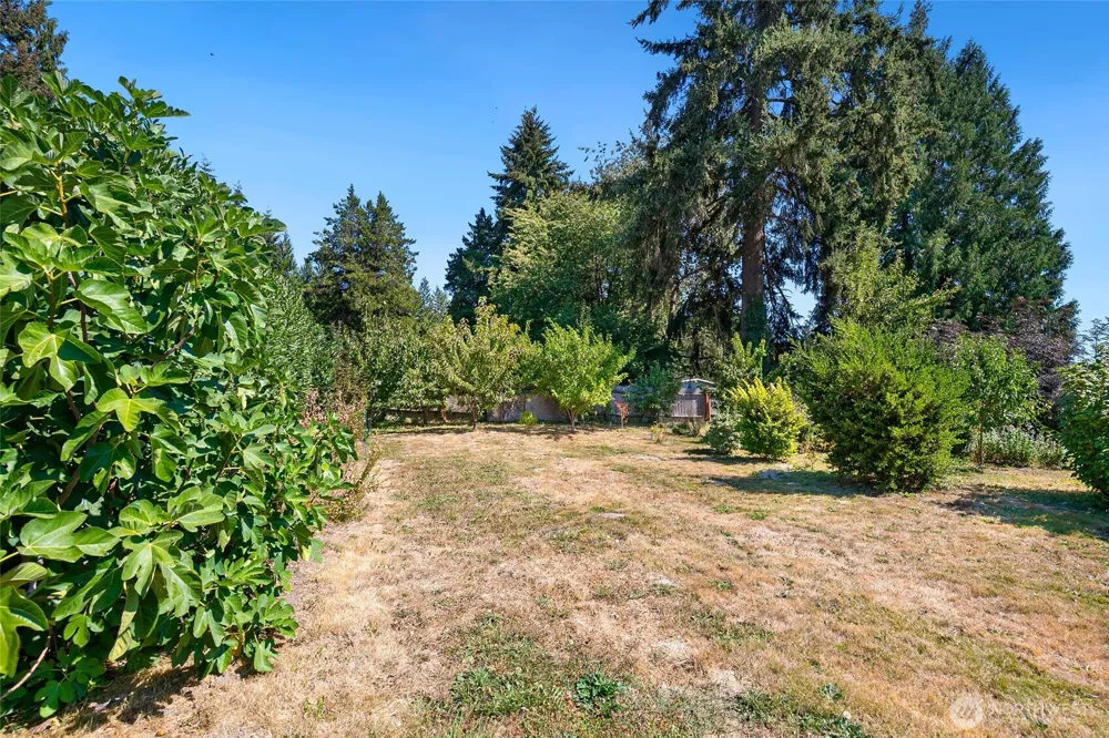 3106 C STREET SE Auburn, WA 98002