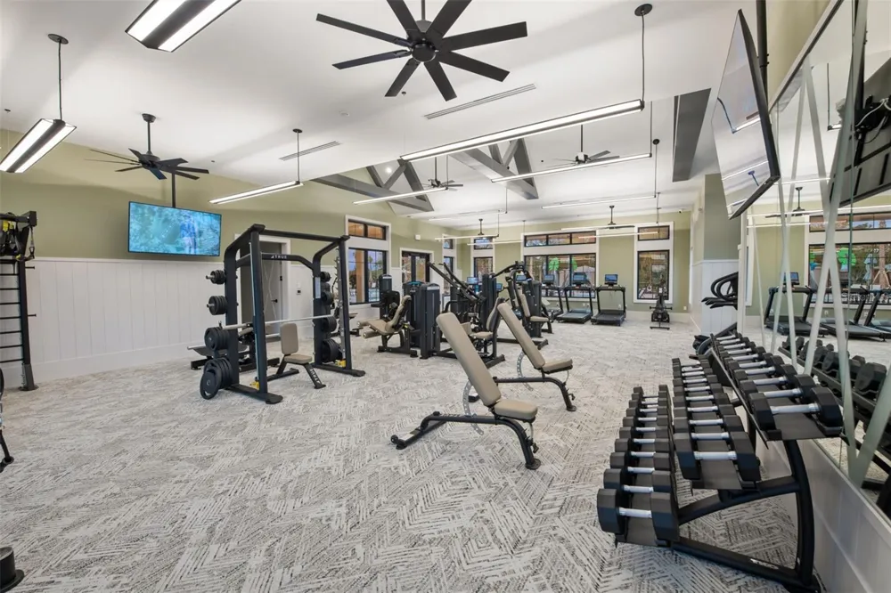 6659 BLAZING SPIRIT STREET Wesley Chapel, FL 33545