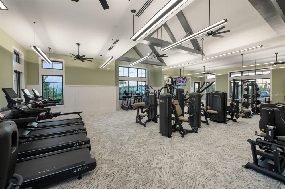 6659 BLAZING SPIRIT STREET Wesley Chapel, FL 33545