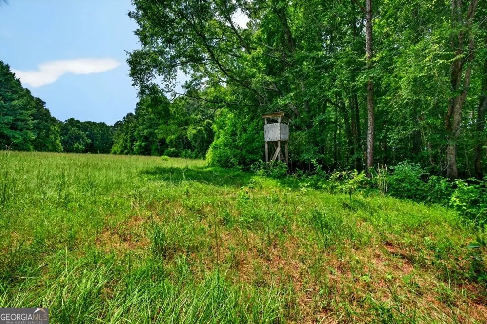 1744 Alexander RD Monticello, GA 31064