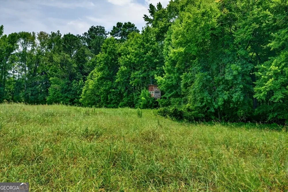 1744 Alexander RD Monticello, GA 31064