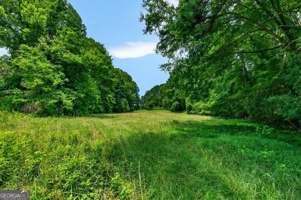 1744 Alexander RD Monticello, GA 31064
