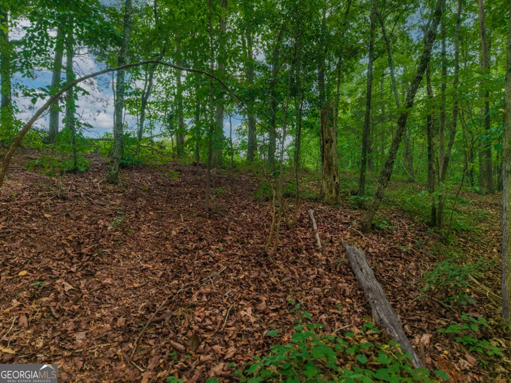 0 Hobgood RD Rydal, GA 30171