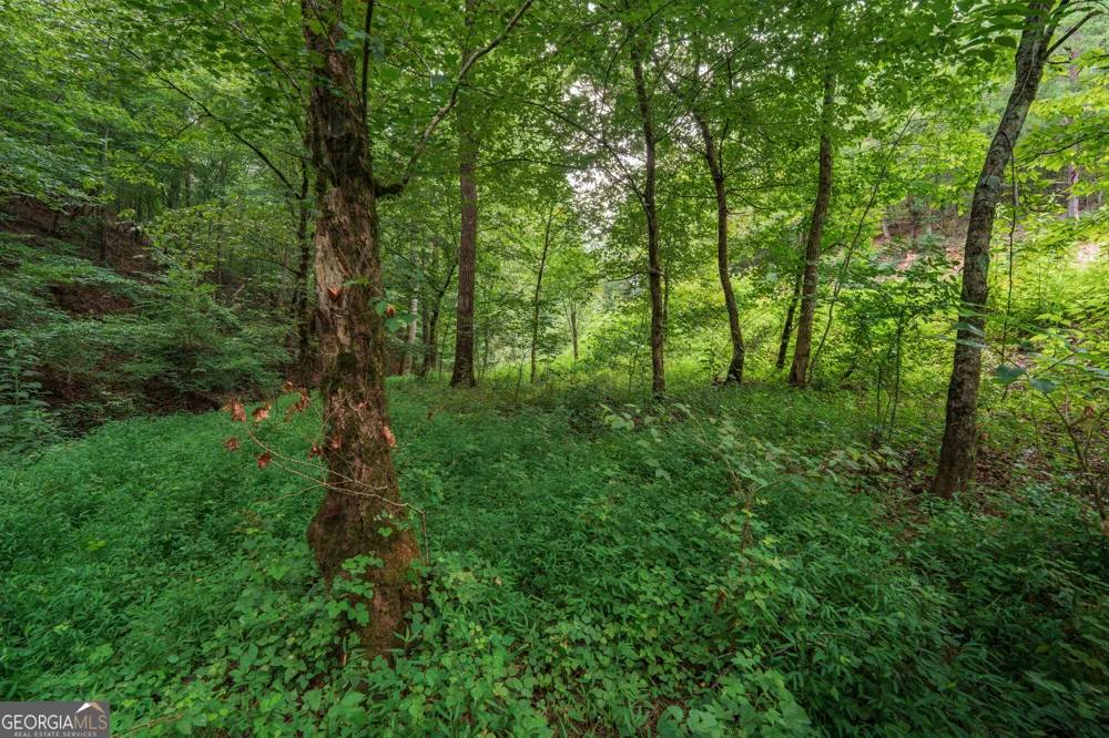 0 Hobgood RD Rydal, GA 30171