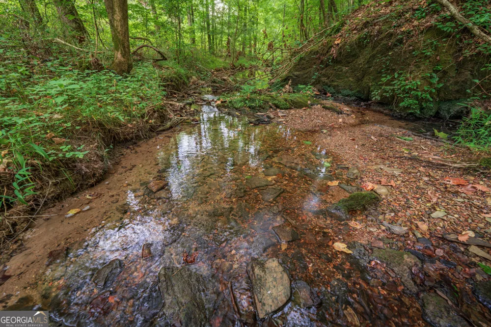 0 Hobgood RD Rydal, GA 30171