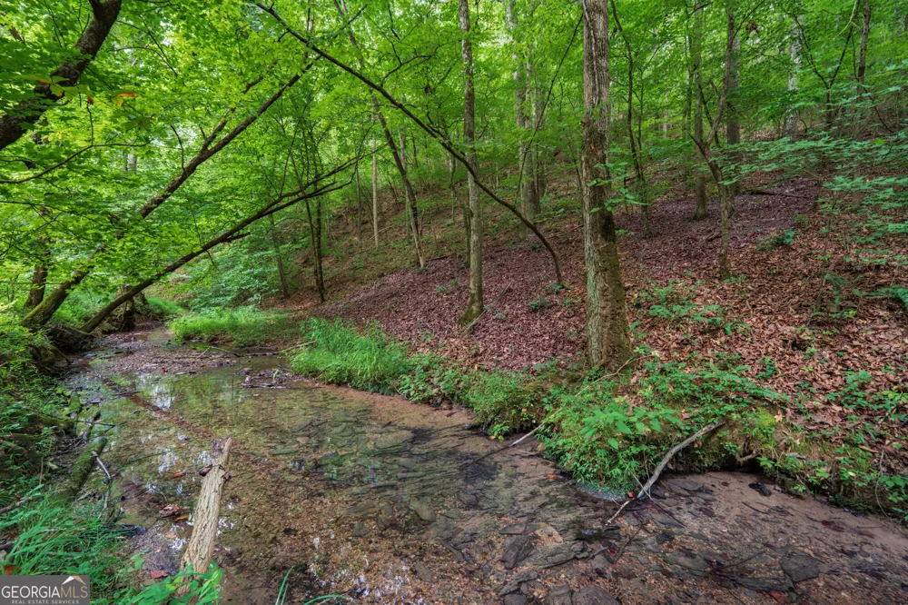 0 Hobgood RD Rydal, GA 30171