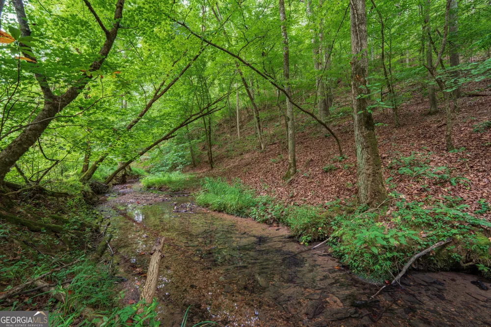 0 Hobgood RD Rydal, GA 30171