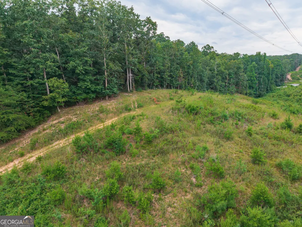 0 Hobgood RD Rydal, GA 30171