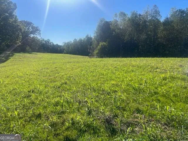 3011 Mark Foster RD Talking Rock, GA 30175