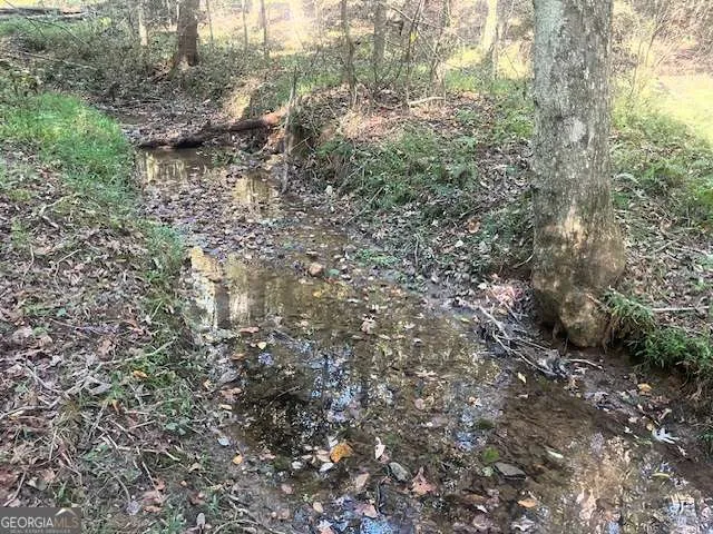 3011 Mark Foster RD Talking Rock, GA 30175