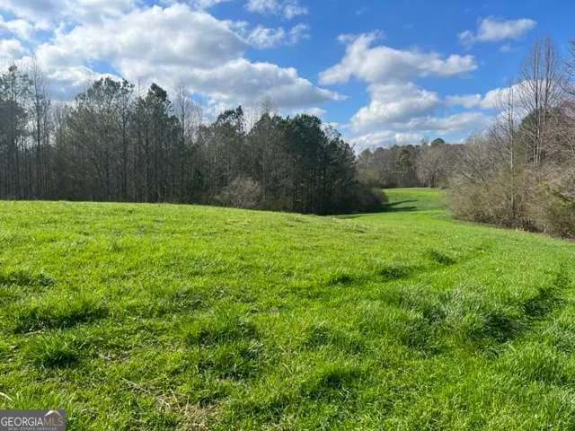 3011 Mark Foster RD Talking Rock, GA 30175