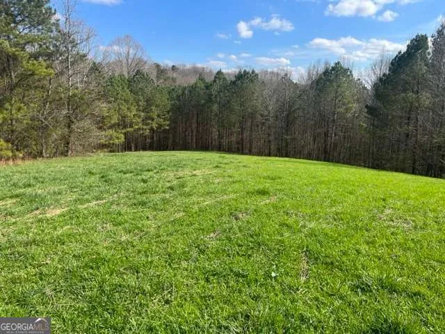 3011 Mark Foster RD Talking Rock, GA 30175